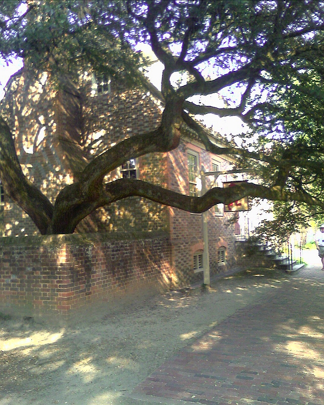 IPB Image