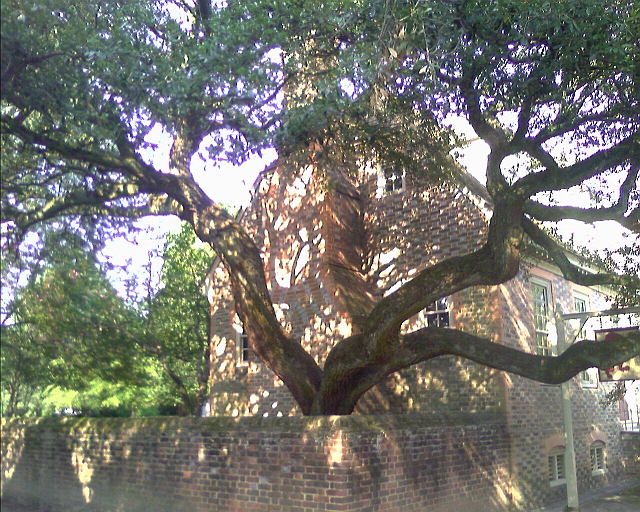 IPB Image